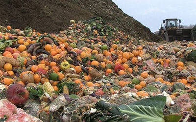 异味环境气象站弃食厨余垃圾粮食浪费对环境的污染